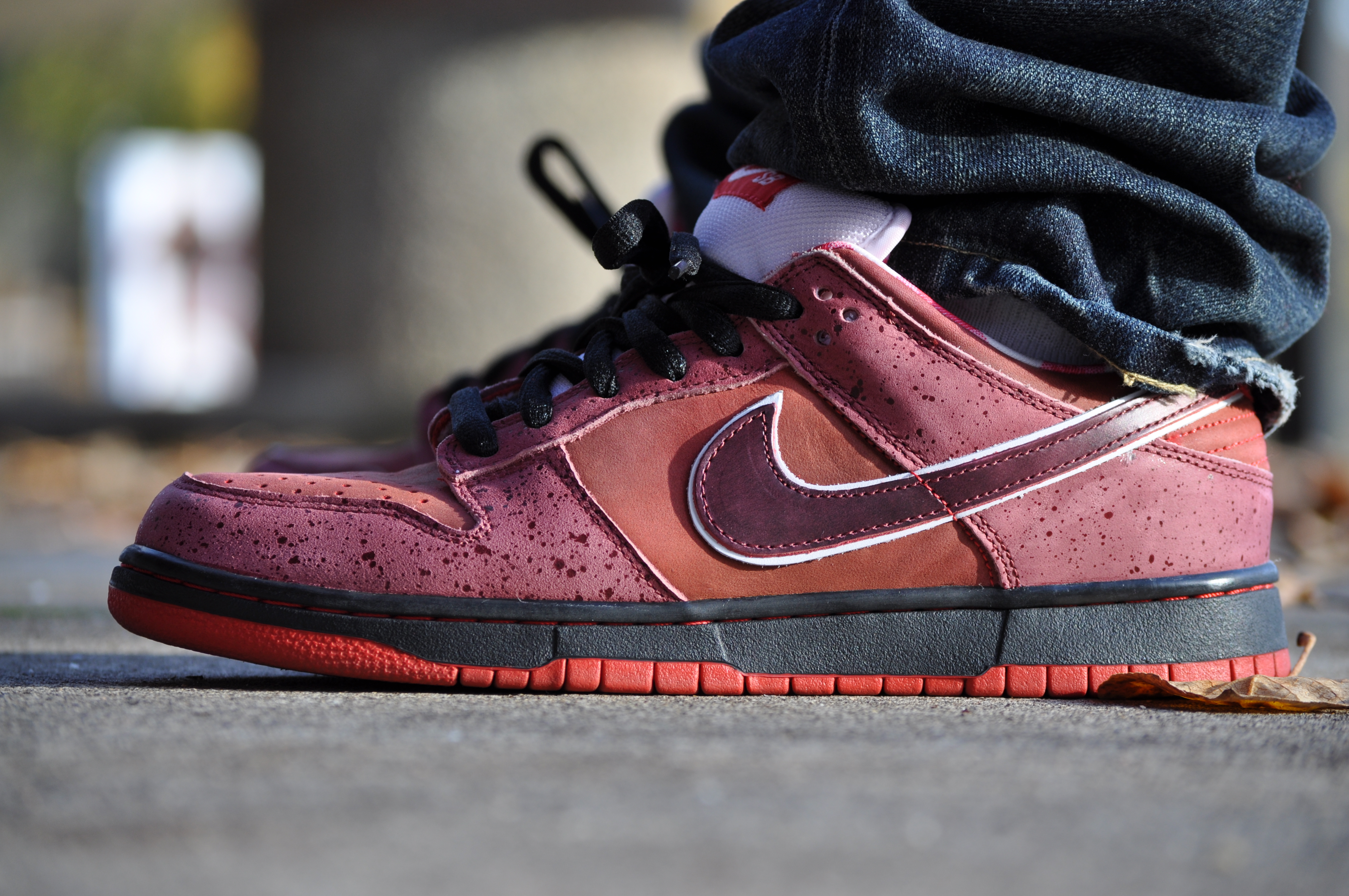 nike sb dunk low red lobster